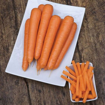 Carrot Siroco F1 Seed