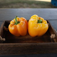 Pepper Yellowfin F1 Seed