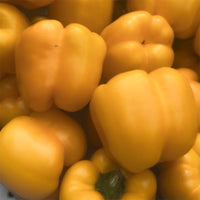 Pepper Yellowfin F1 Seed