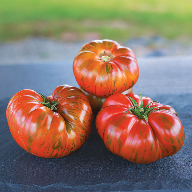 Tomato Beefy Purple Seed – Harris Seeds