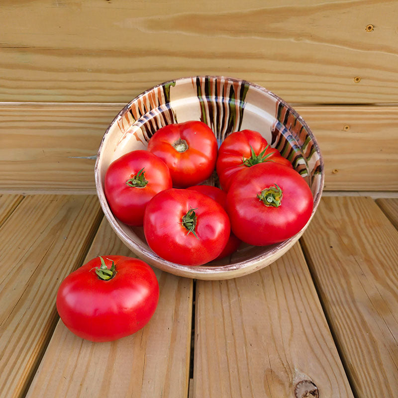 Tomato Contessa F1 Seed – Harris Seeds