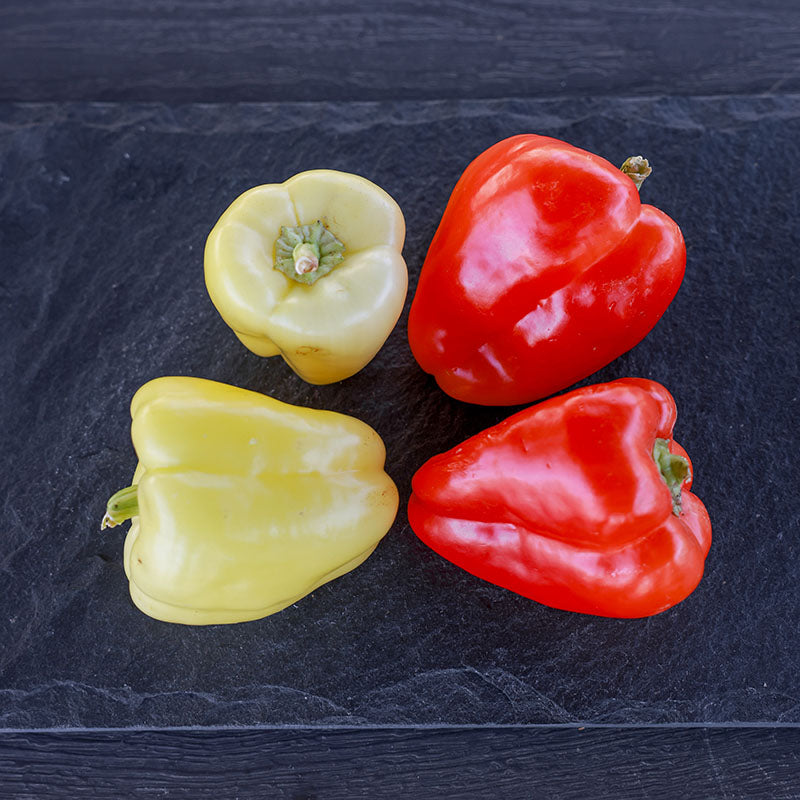 silverado herbicide Pepper Silverado F1 Seed RAW / 1,000 seeds / UNTREATED