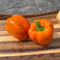 Pepper SVPB8500 F1 Seed