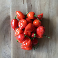 Pepper Red Savina Seed