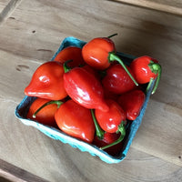 Pepper Red Savina Seed
