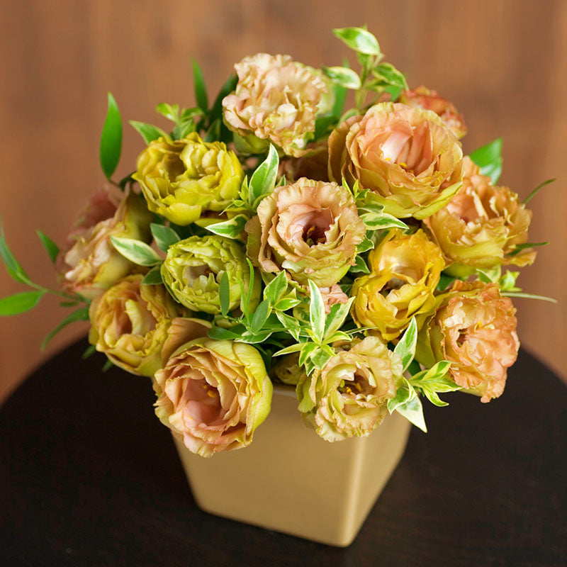 flower seeds lisianthus seeds Lisianthus Rosanne 1 Brown F1 Seed