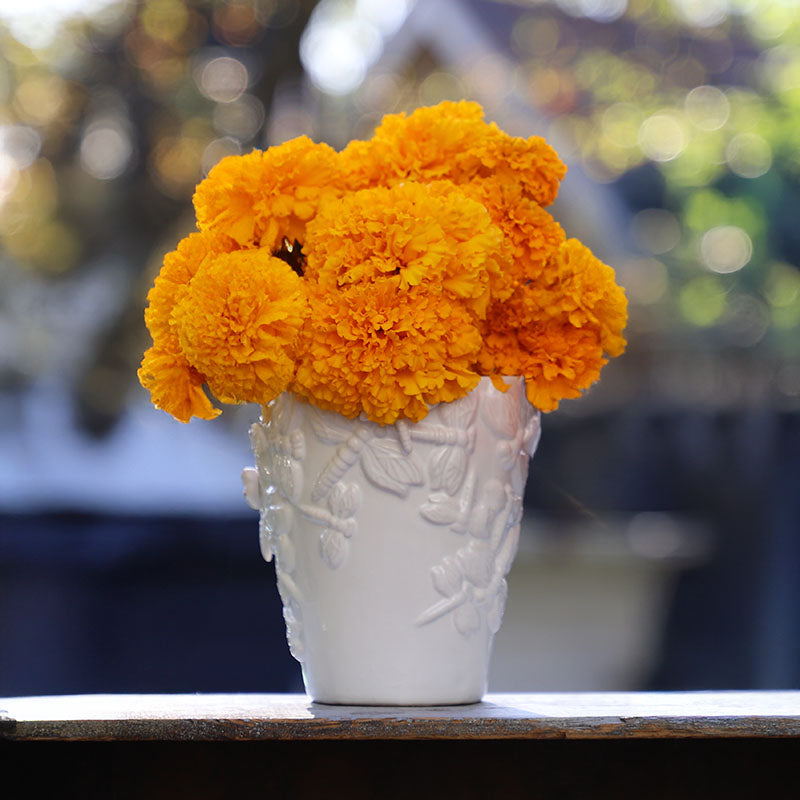 desi marigold seeds Marigold Coco Deep Gold Seed RAW / 50 seeds / UNTREATED