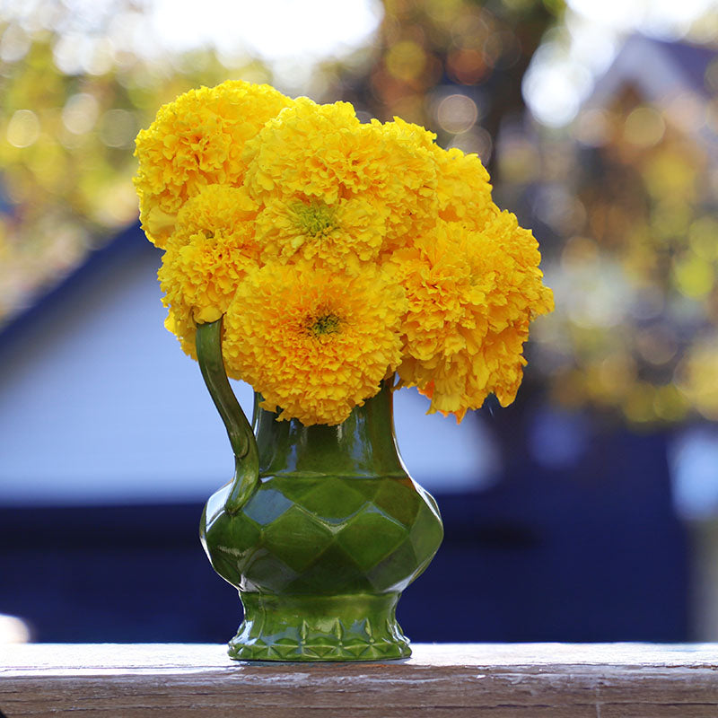 coco marigold seeds Marigold Coco Deep Yellow Seed