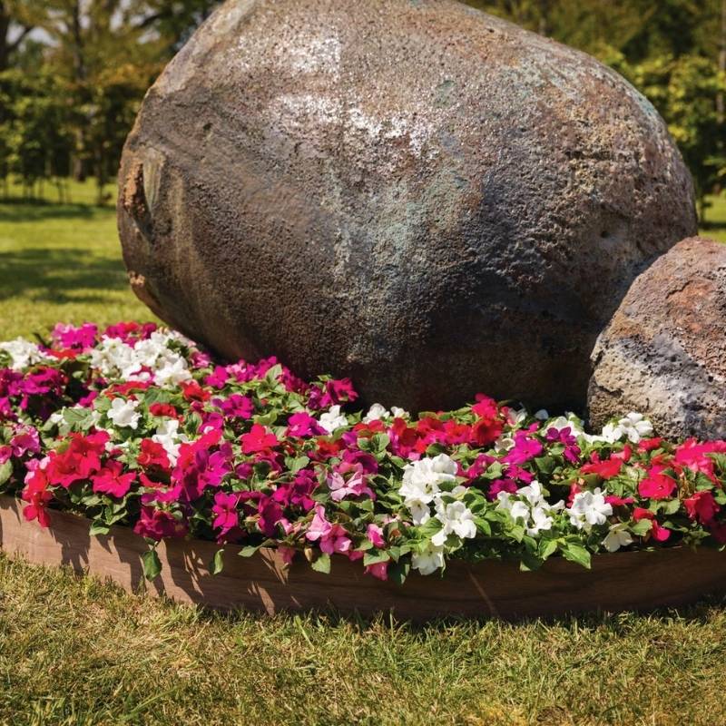 Impatiens Imara XDR Rosy Mix F1 Seed – Harris Seeds