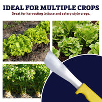 Broccoli Knife Stainless Steel Blade Yellow Handle