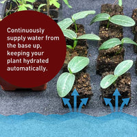 Growers Supply Self Watering Kit