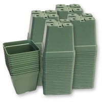 Dillen 4" Square Pot