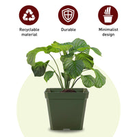 Dillen 4" Square Pot