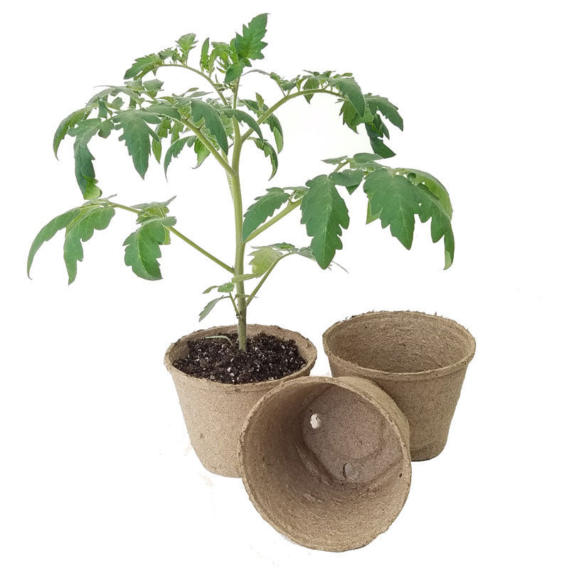 large round pot plant Jiffy 5" Round Pots