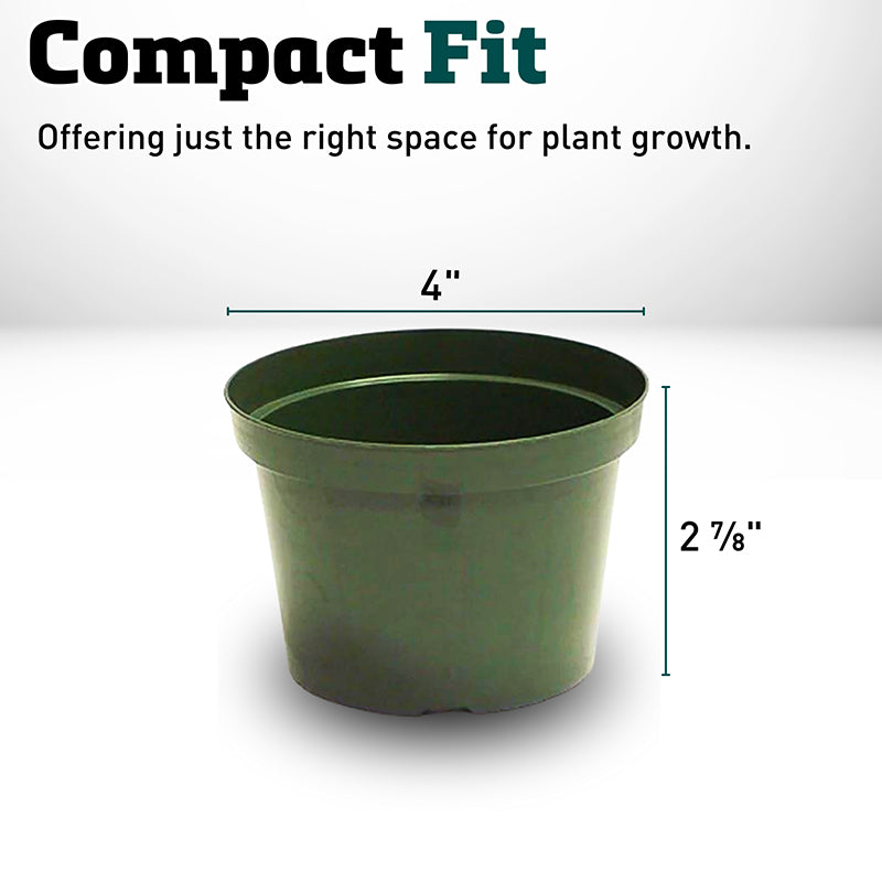 azalea plant pot Azalea Pot 4