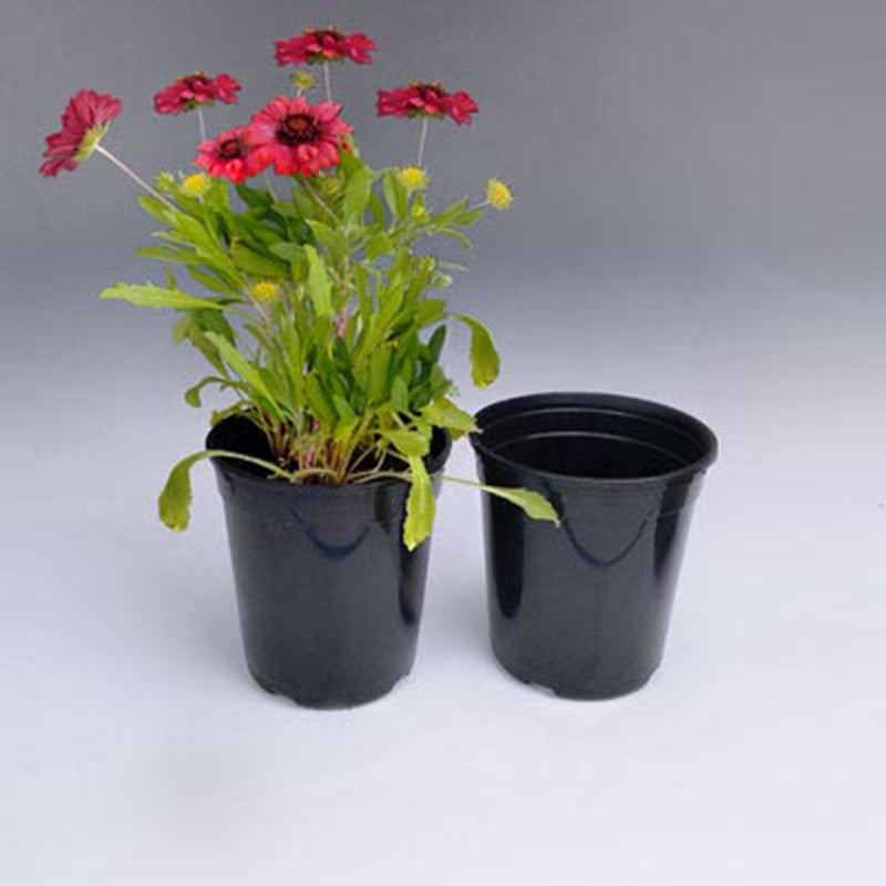 flower pots and seeds Perennial Pot 1 Gal. HARD GOOD / Case of 128 / NA