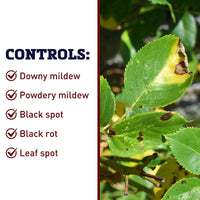 Bonide Liquid Copper Fungicide 16 oz. Concentrate