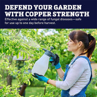 Bonide Liquid Copper Fungicide 16 oz. Concentrate