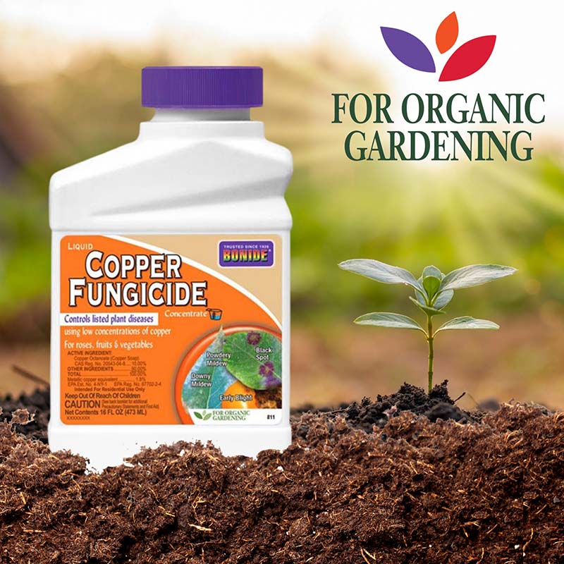 bactericide/fungicide for indoor plants Bonide Liquid Copper Fungicide 16 oz. Concentrate