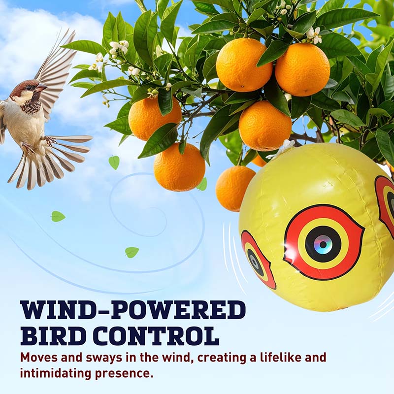 Dalen Bird Scare Balloon – Harris Seeds