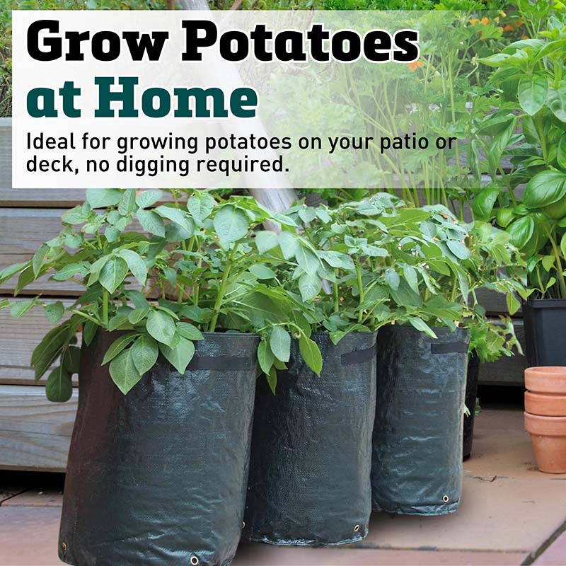 plant potatoes grow bag Potato Planter Bag (3 Pack)