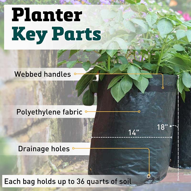 potato grow planter bag Potato Planter Bag (3 Pack)