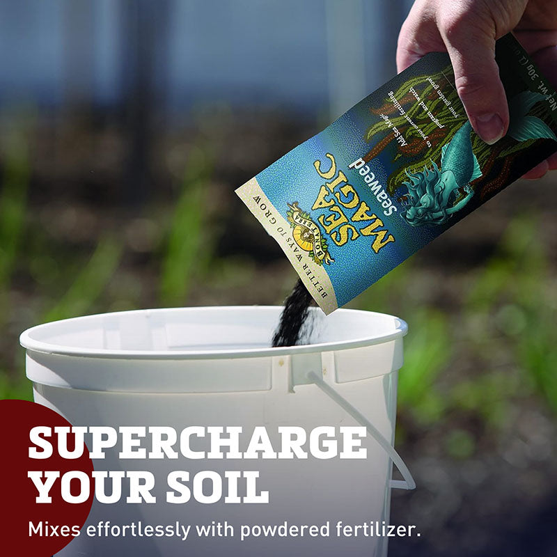 is seaweed good fertilizer for plants Sea Magic Fertilizer 1 oz