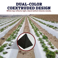 White on Black Plastic Mulch 4' x 600'