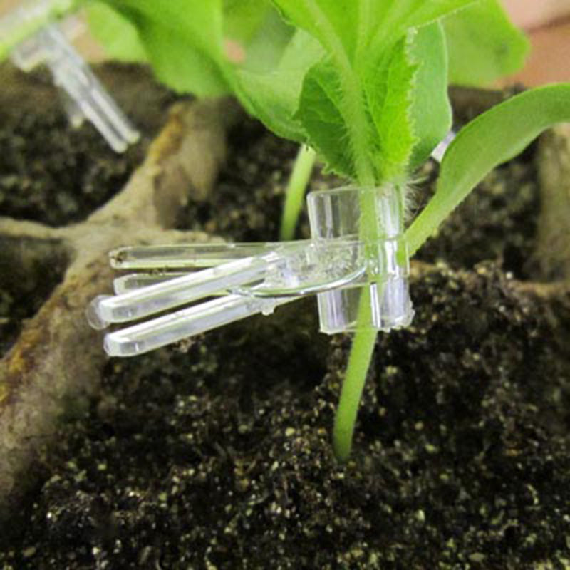 Plastic Grafting Clips Graft Clip Garden Plant Clamp Support Vegetable Eggplant