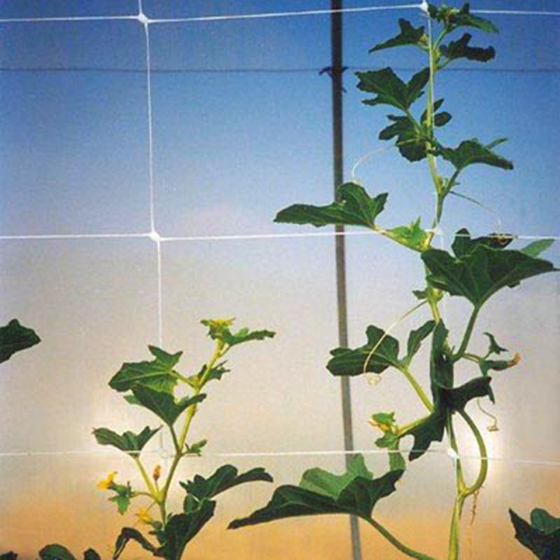 indoor plant netting Heavy Duty Support Netting 6.5' x 30'
