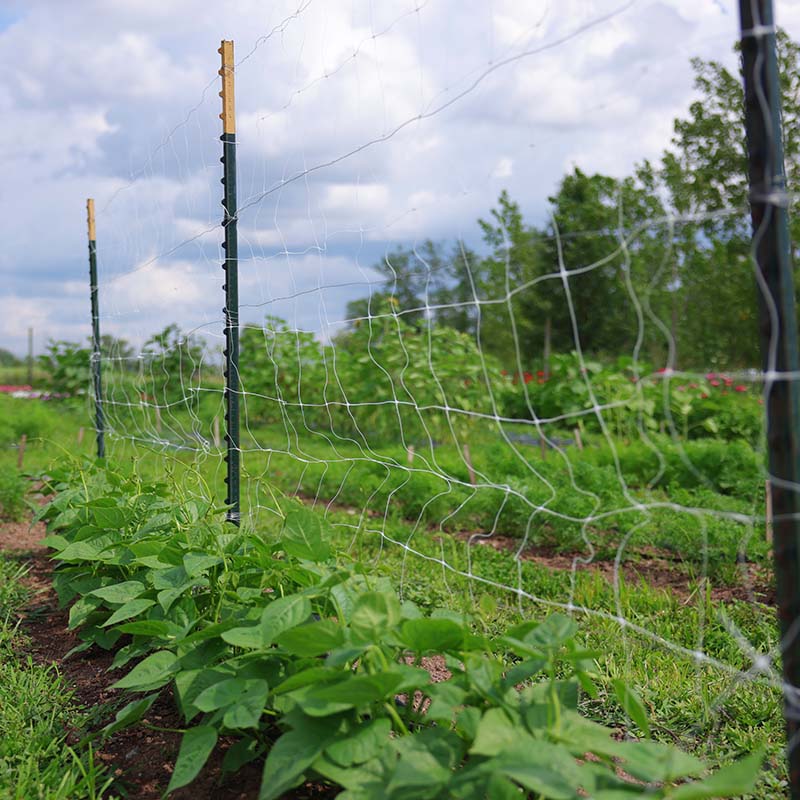 garden seed netting Heavy Duty Support Netting 6.5' x 30'