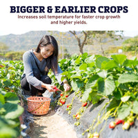 Black Plastic Mulch 4' x 100'