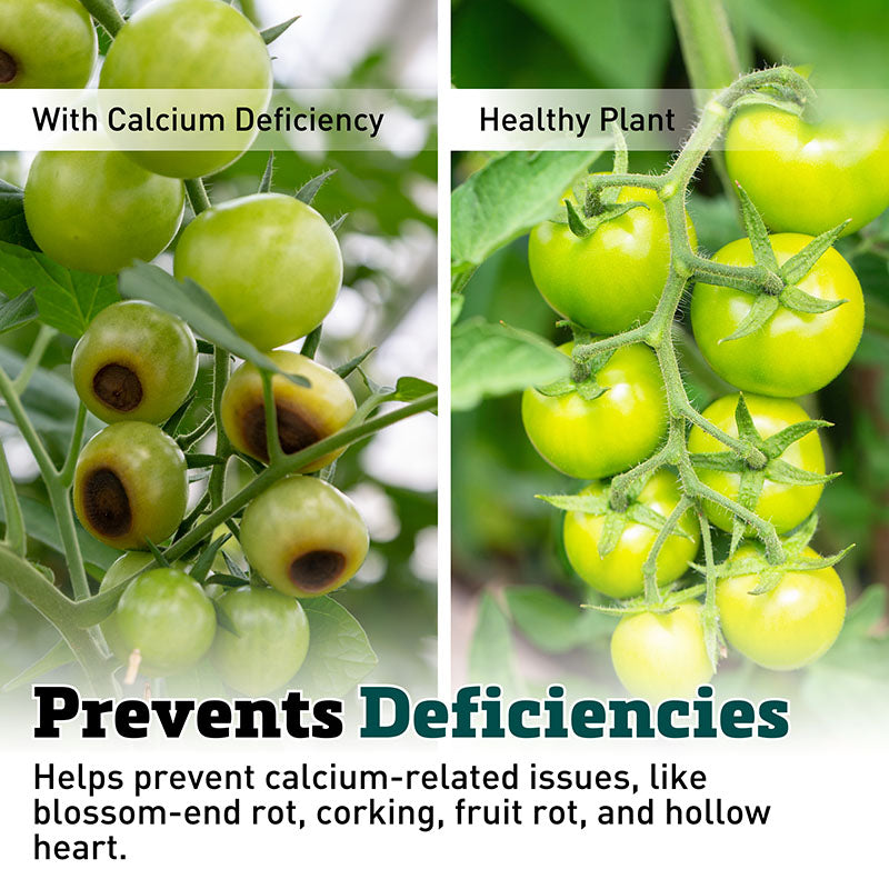 calcium for tomato plants Nutri-cal 1 Gal. Concentrate 1 Each