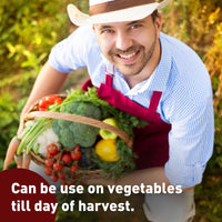 Bonide Pyrethrin Insect Spray 1 Pint