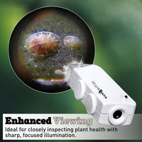 Insecticide Active Eye Microscope