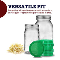 Mason Jar Sprouting Lid