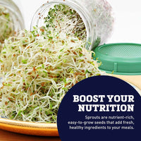 Mason Jar Sprouting Lid