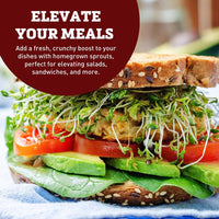 Mason Jar Sprouting Lid