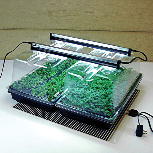 SunBlaster Mini Greenhouse Large Combo – Harris Seeds