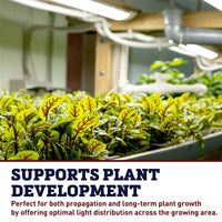 SunBlaster T5 2700K Replacement Bulb 4'