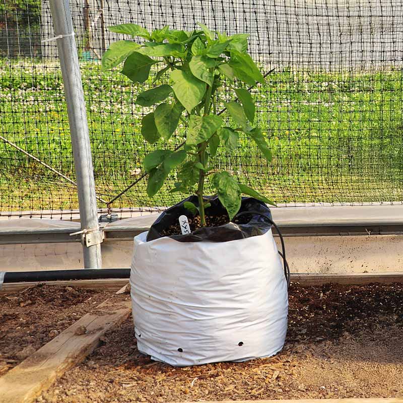 plastic bags over plants Grow Bags 5 Gallon HARD GOOD / Case of 400 / NA