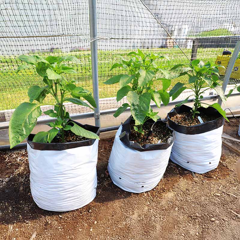 grow bags for indoor plants Grow Bags 5 Gallon HARD GOOD / Case of 400 / NA