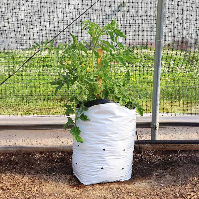 poly grow bags for plants near me Grow Bags 7 Gallon HARD GOOD / 25 each / NA
