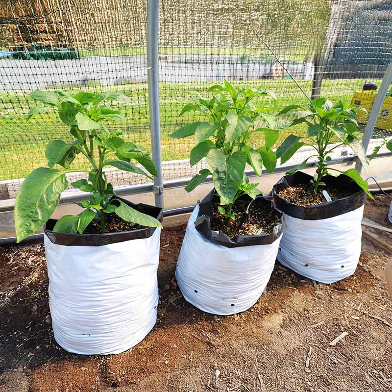 tomato planter grow bags Grow Bags 7 Gallon HARD GOOD / 25 each / NA