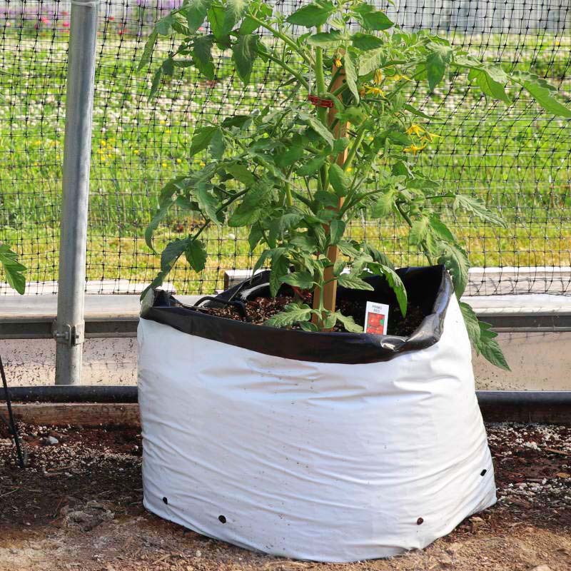 Grow Bags 10 Gallon HARD GOOD / Case of 200 / NA