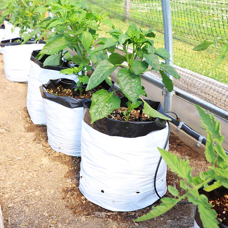 planting in plastic bags Grow Bags 10 Gallon HARD GOOD / Case of 200 / NA