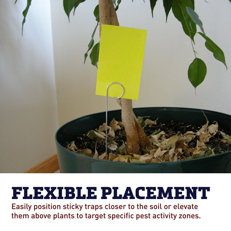 sticky traps for indoor plants Wire Sticky Trap/Sign Holders