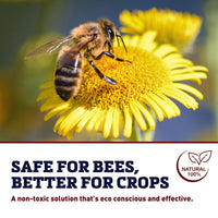 Bee-Scent Attractant 16 oz.