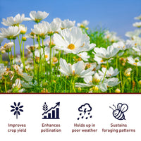 Bee-Scent Attractant 16 oz.