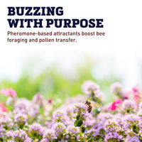 Bee-Scent Attractant 16 oz.